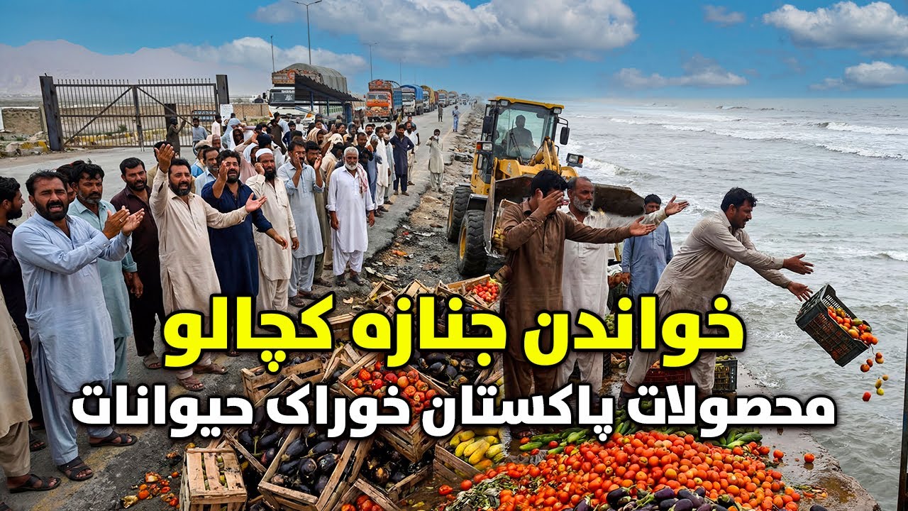 گزارش ویژه از خواندن جنازه کچالو، محصولات پاکستان خوراک حیوانات