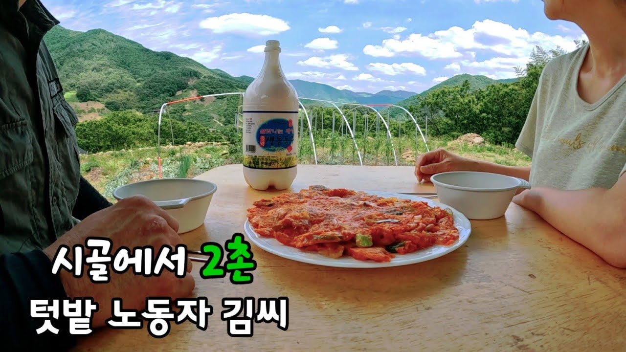 가마솥 한우국밥👍 / 꽃씨는 처음이라 / 치즈품은 김치전 (feat.동동주) / 낙삼불고기 어때요?