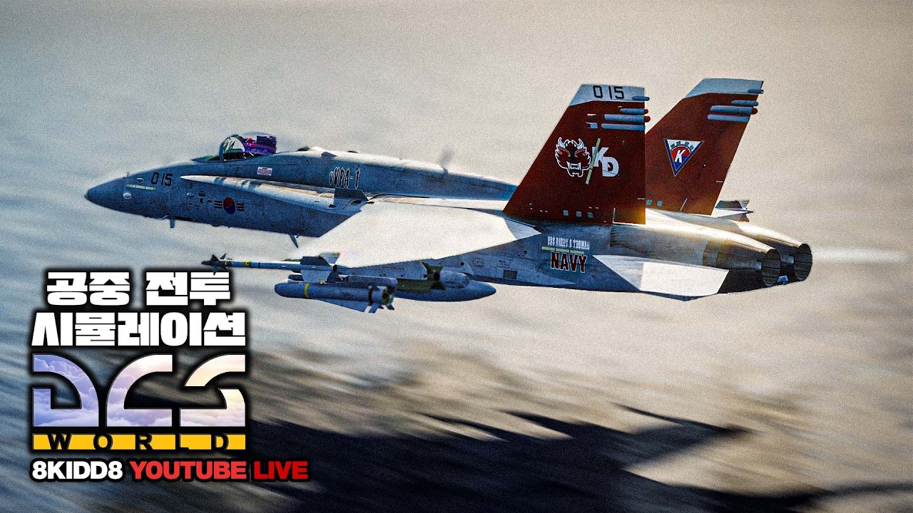 전투비행심~🦅DCS 설 세일 중🦅QHD 60FPS