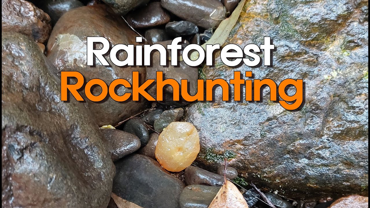 Rainforest Rockhunting | South East QLD - North NSW