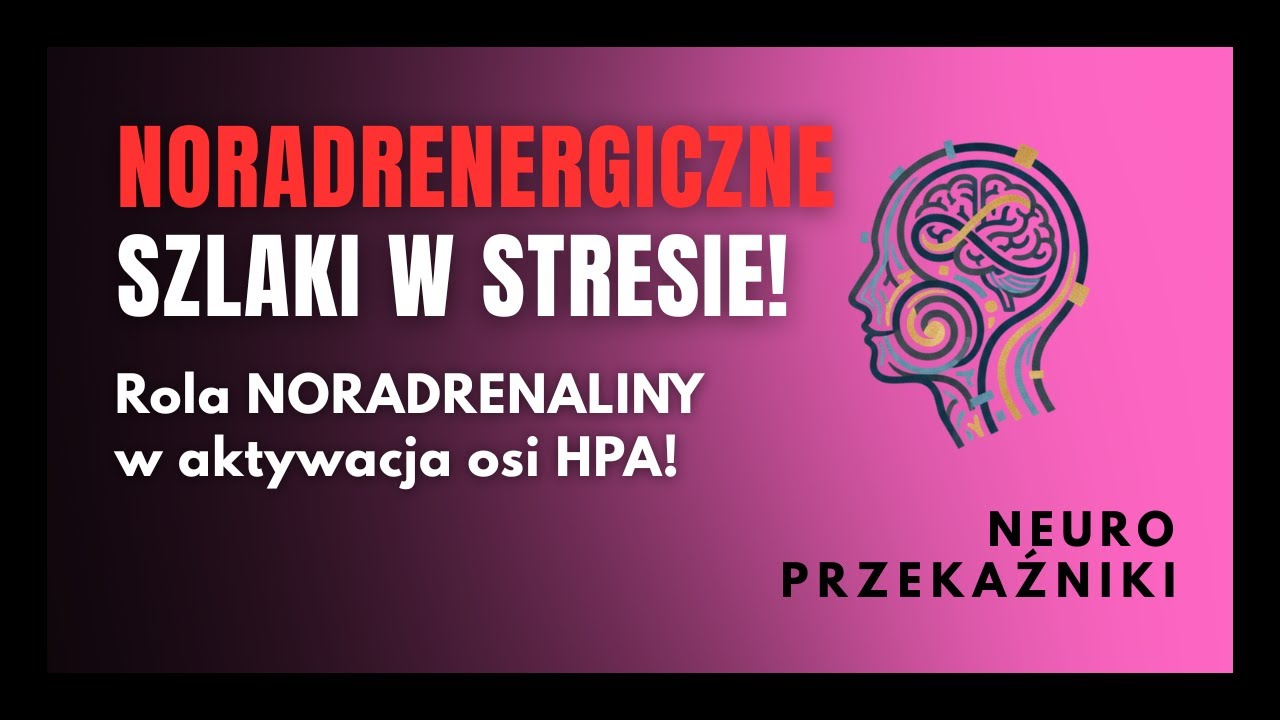 #90 Jak NORADRENALINA resetuje twój mózg? Neuroprzekaźnik o najszybszym sygnale zmiany?