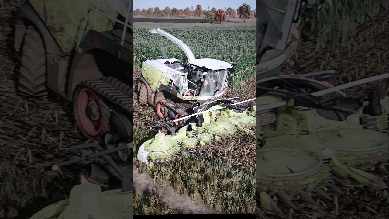 Claas Orbis 900 getting ready 🔥💪#farming #farmingsimulator25 #claas