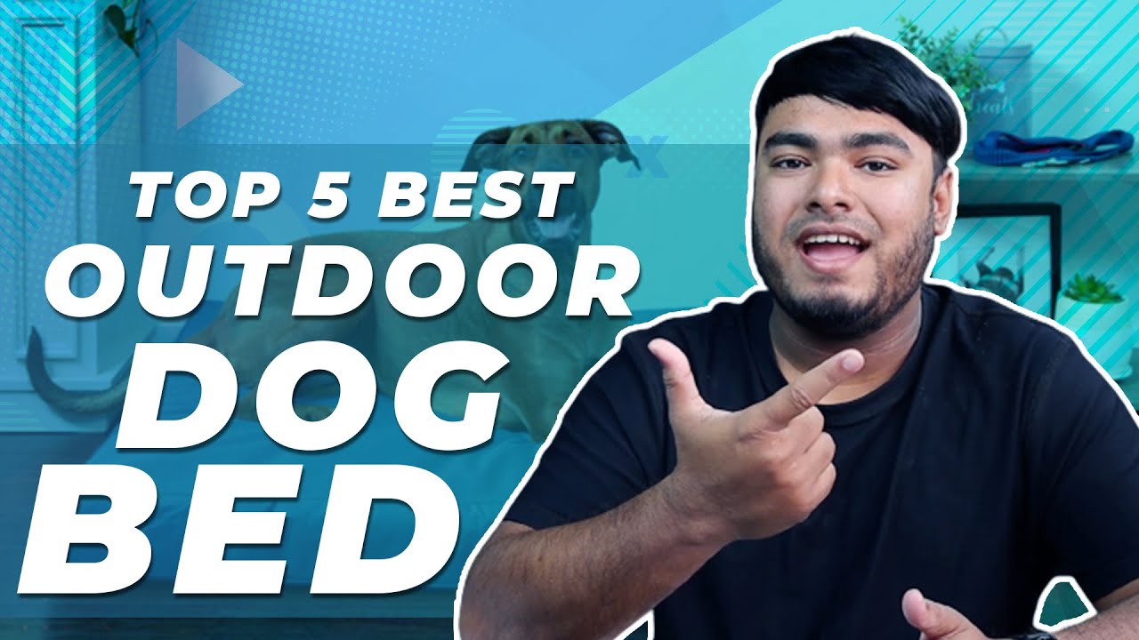 5 Best Outdoor Dog Beds in 2023 [Reviews & Buying Guide] - Waterproof & Travel Foam Dog Bed