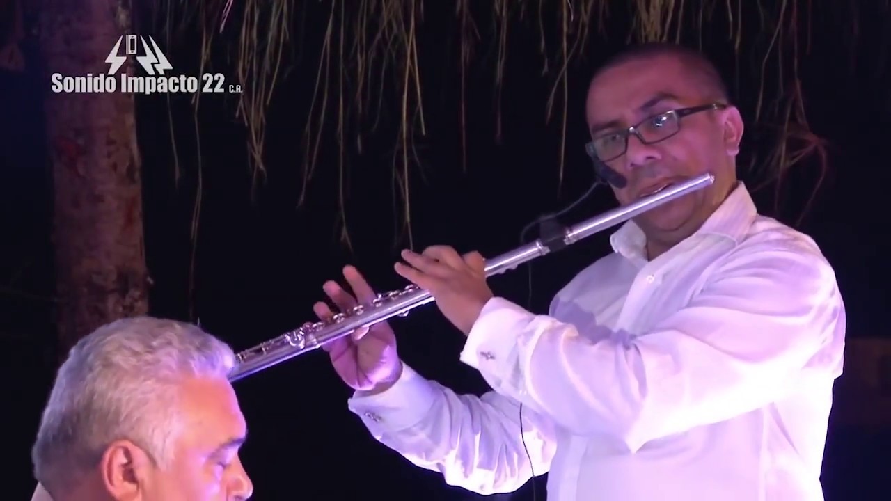Ensamble Gurrufio Diablo Suelto
