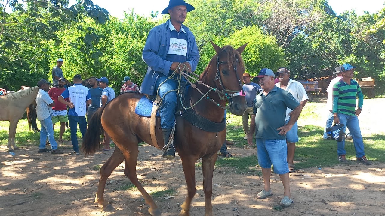 Feira de cavalo em canafistula de Frei Damião Alagoas 09/03/26#nordeste