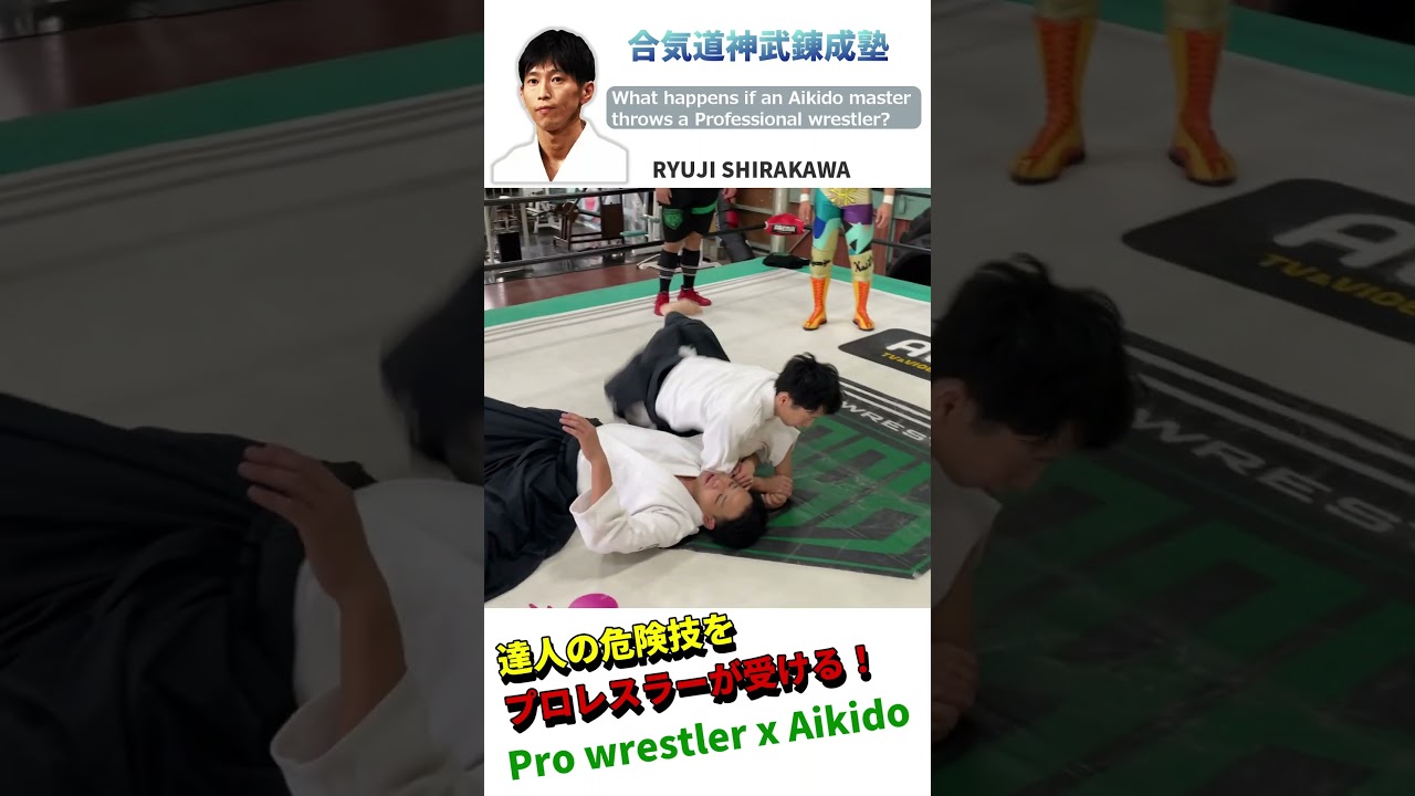 A pro wrestling champion receives a very dangerous technique from an Aikido master