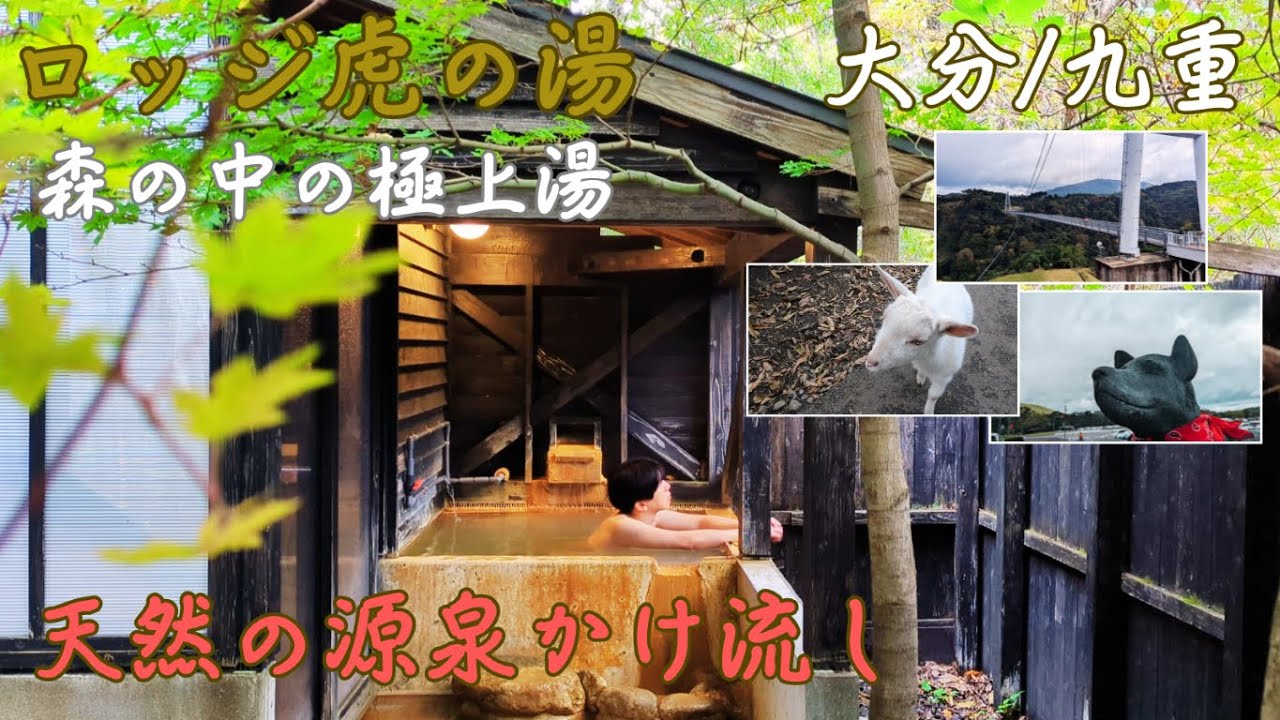 【大分・九重】源泉かけ流しの森の中の極上湯