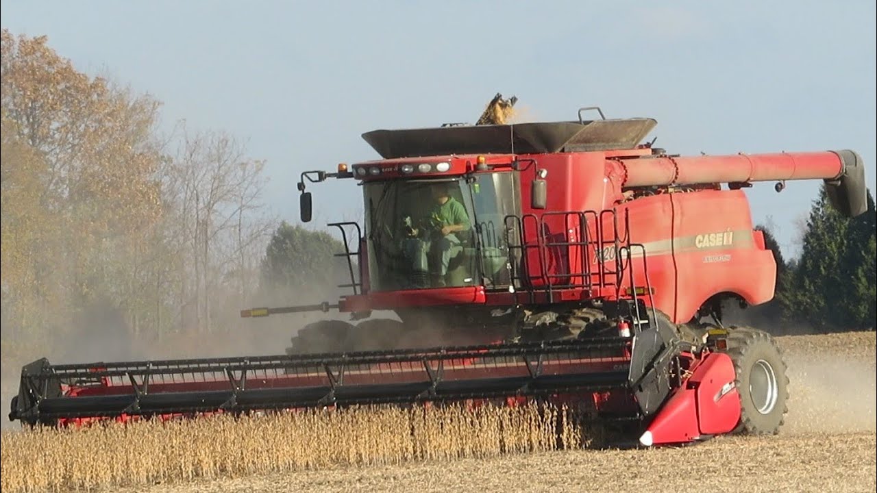 Harvest 2020 | Case IH 7120 Combine Harvesting Soybeans | Soybean Harvest 2020