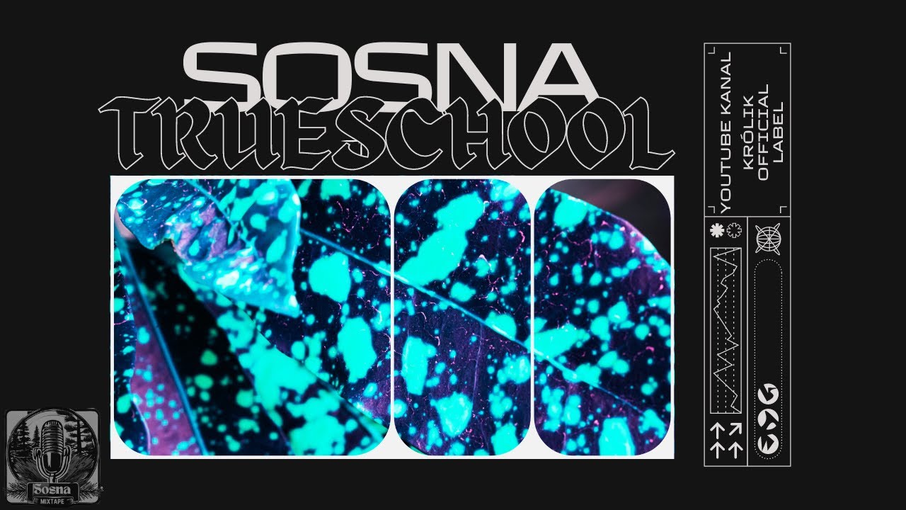 Sosna - Trueschool