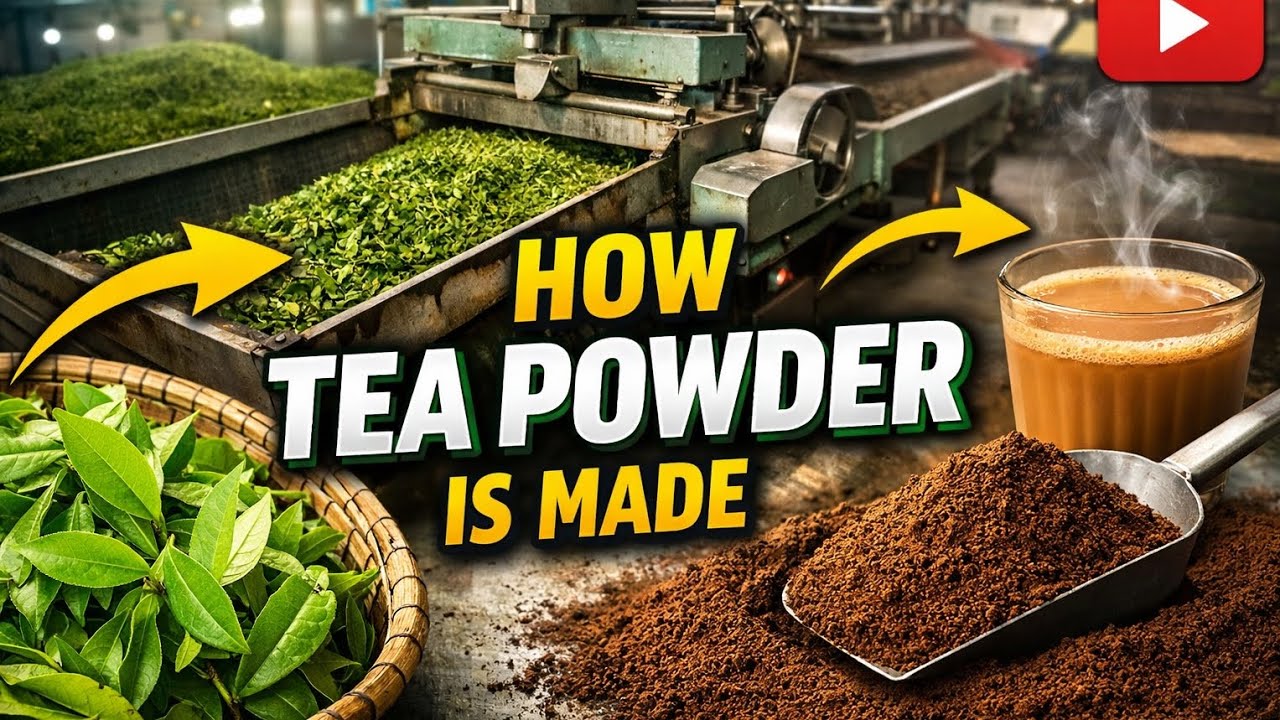 How Tea Powder Is Made in Factory | From Tea Leaves to Chai ☕🍃 Ooty