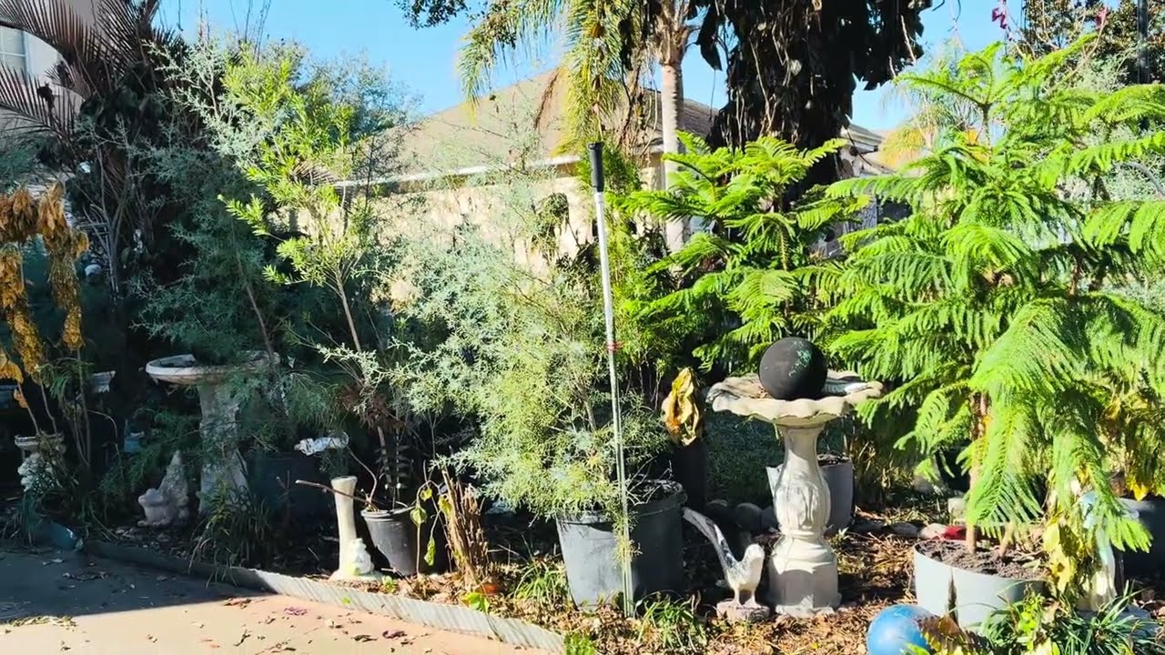  Creating A New Garden It’s Not Easy February 2026