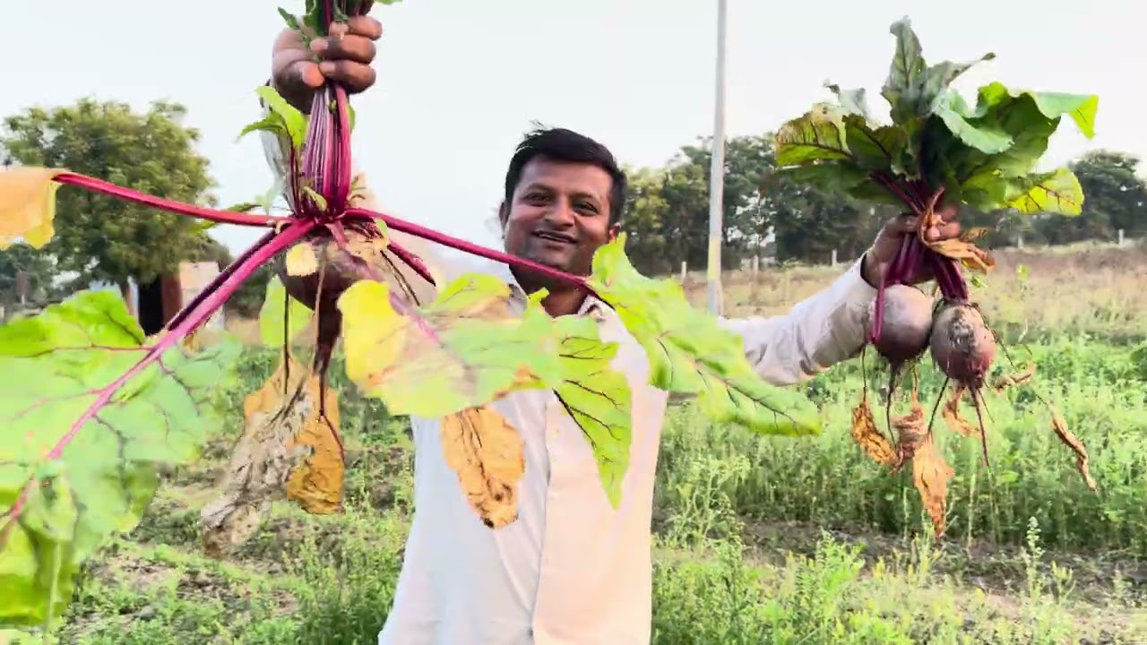 ઝેર મુક્ત ખેતી તરફ ડગલું - gujarat organic fertilizer ઓર્ગેનિક મોડલ ફાર્મની એક મુલાકાત