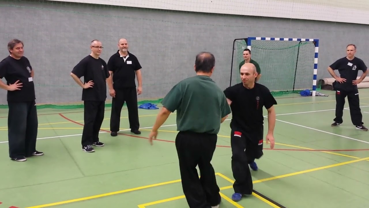 Free Pushing Hands - Grand Master Yang, Jwing-Ming & Master Robert Was - YMAA International