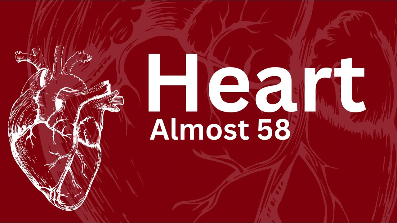 heart anatomy (Basra spots)