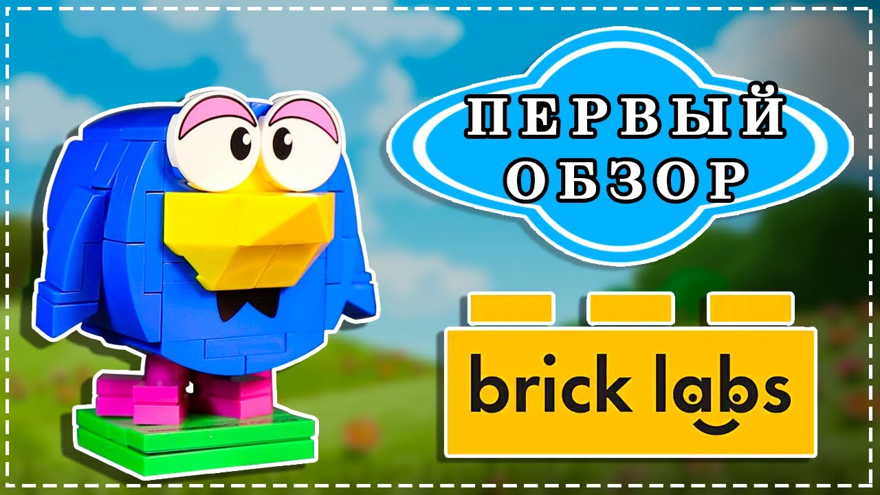 Первый Обзор набора Кар Карыч от Brick Labs   СМЕШАРИКИ