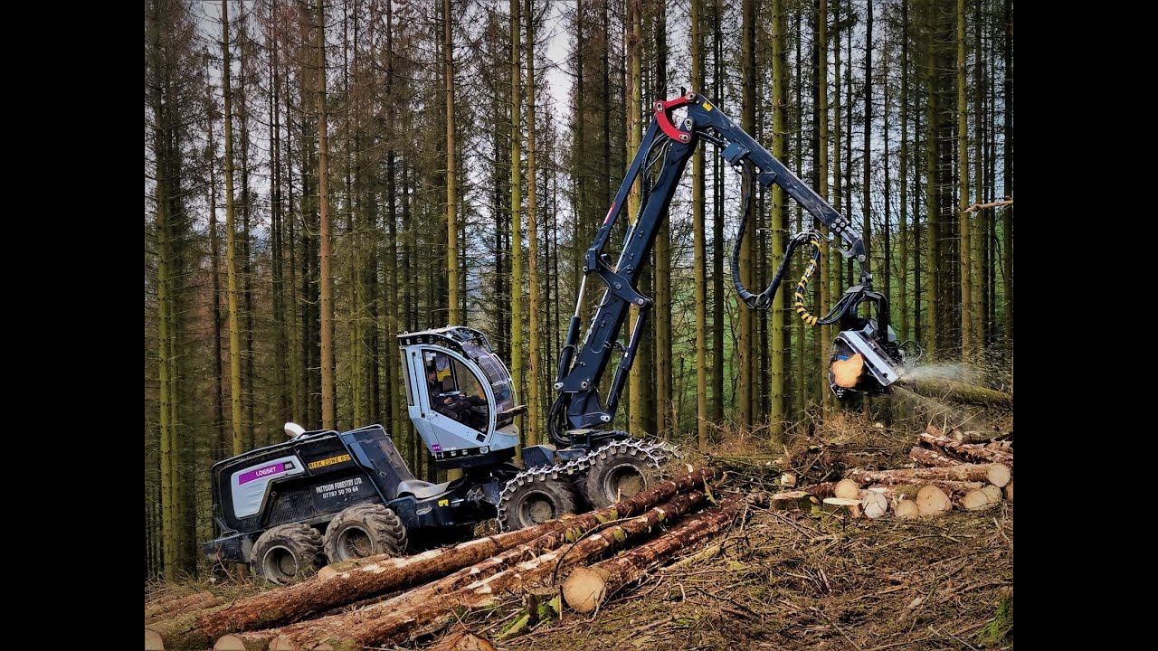 🌲*Harvester • Logset 8H GTE • in Action* • Tschechenloggers • Part-2🌲