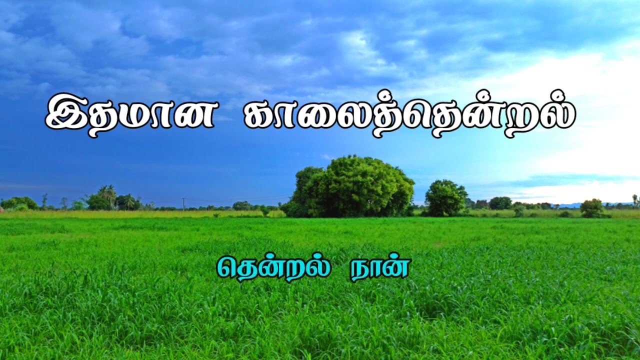 இதமான காலைத்தென்றல்