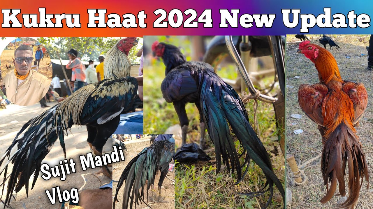 Kukru Haat 2024 New Update lSujit Mandi Vlog