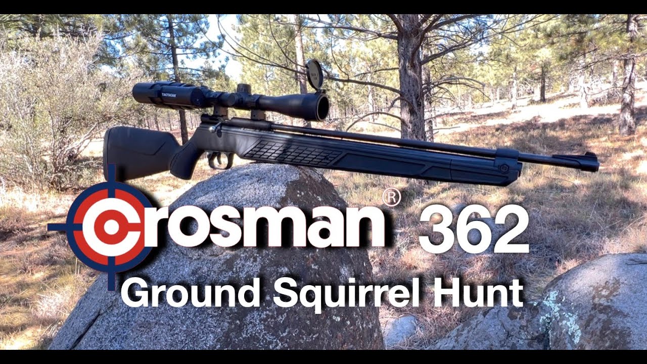 Crosman 362 - Ground Squirrel Hunt