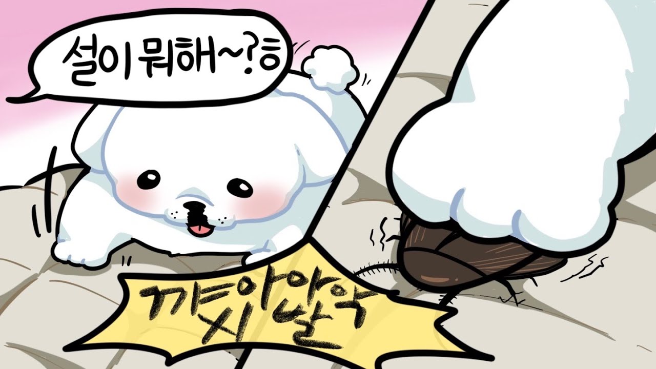 견주들이 경악하는 순간