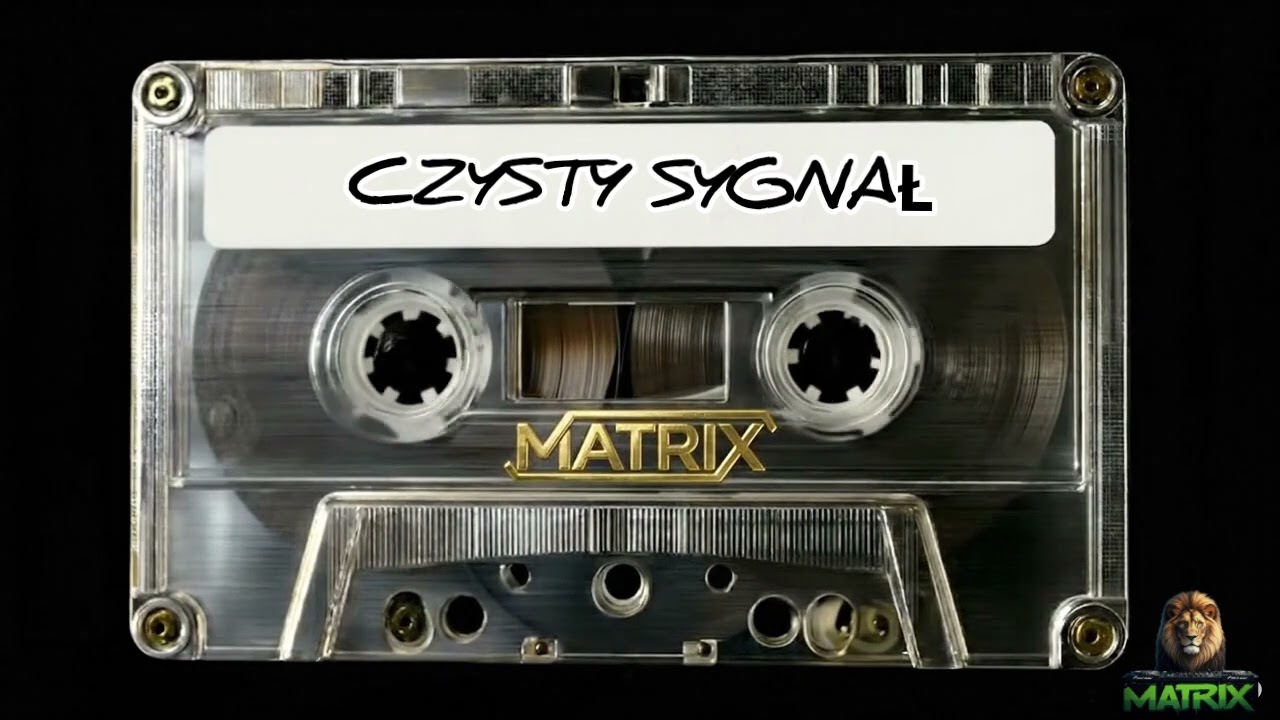 MATRIX - CZYSTY SYGNAŁ | Potężny Industrial Metal & Dark Futurism | Electro (Official Audio)