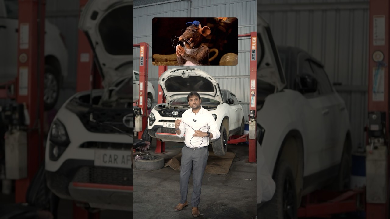 What should we do with this Rat | Tata Harrier clutch problem #tataharrier #harrier