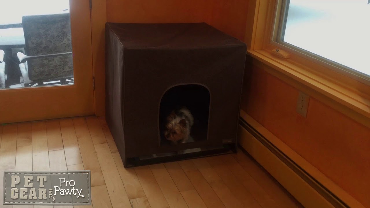 ORIGINAL PET GEAR PRO PAWTY