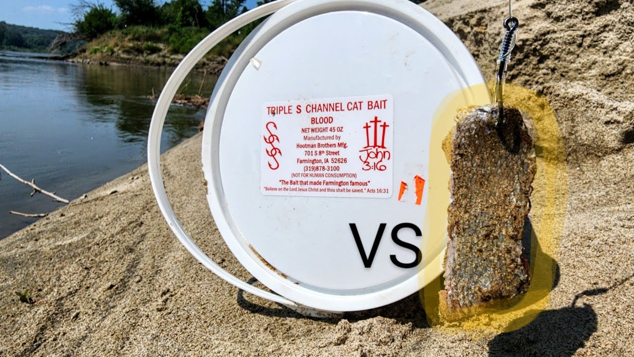 The BEST Summertime CATFISH BAIT!! (Cutbait vs Stinkbait)