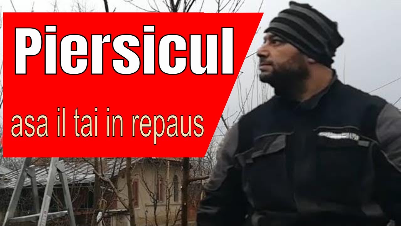 Taierea  PIERSICULUI in repaus vegetativ