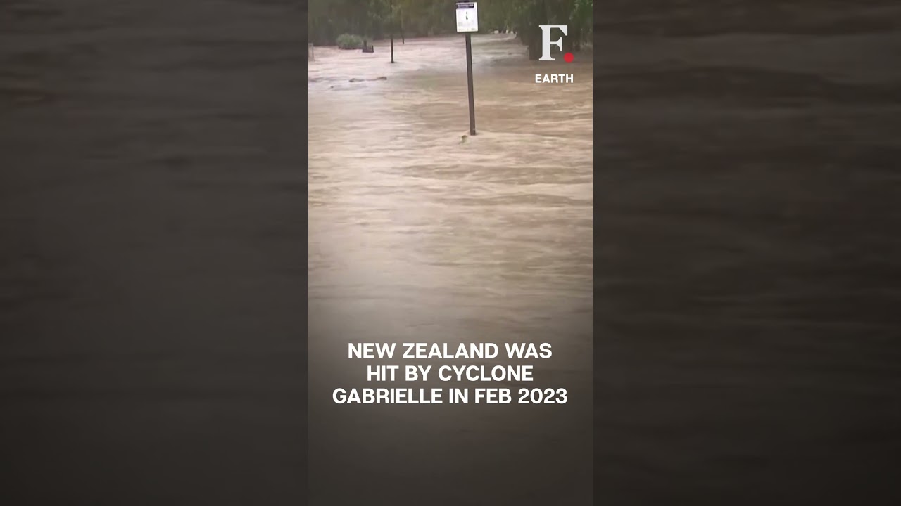 New Zealand Announces Disaster Relief Package Of Over $700 Million | Firstpost Earth