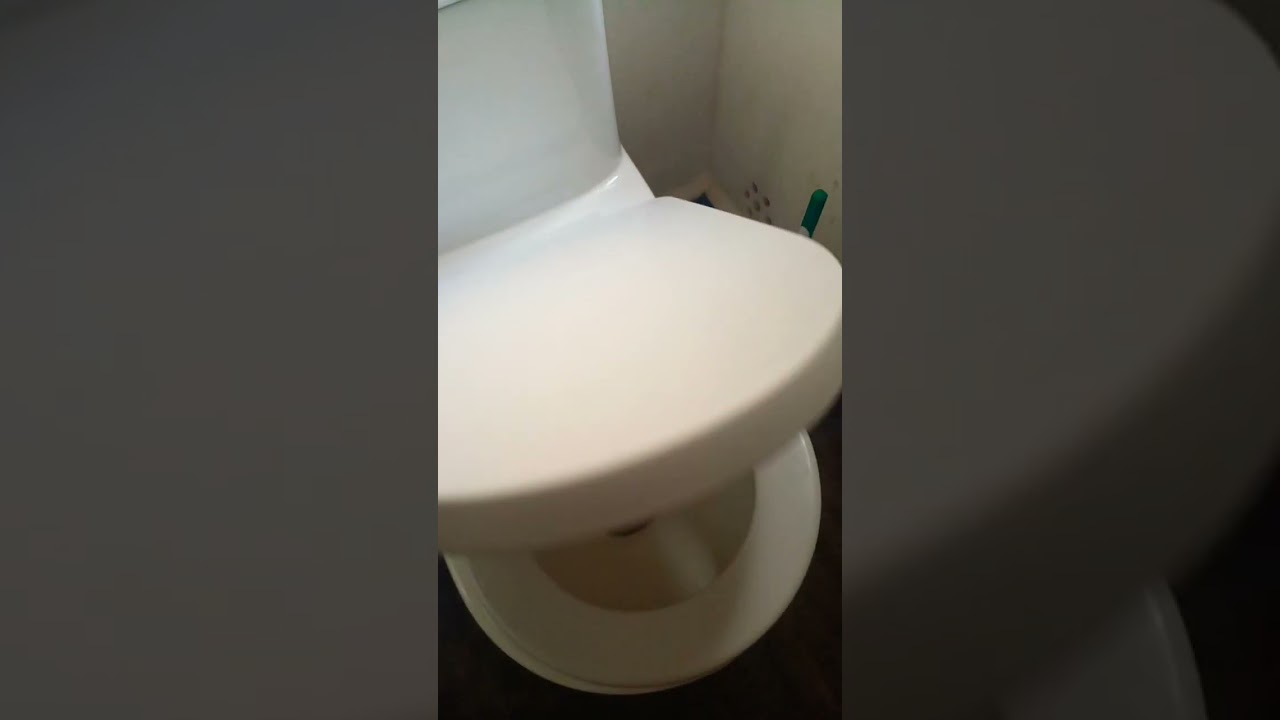 Big snake...inside a toilet 🚽 ...... unbelievable..... 💯 check before use