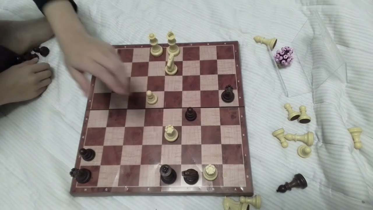 함쓰 형제의 체스 실력!