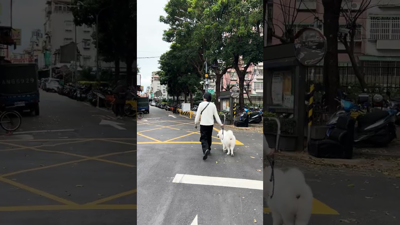 TAIWAN STREET WALKING 001