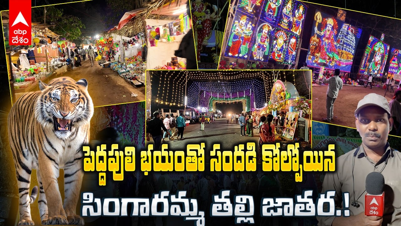 Tiger at Singaramma Thalli Jatara | వణికిస్తున్న పెద్దపులి.. జాతరకు రావాలంటేనే హడల్ | ABP Desam