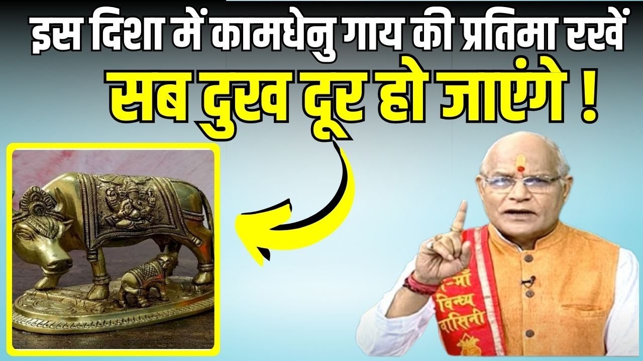 इस दिशा में कामधेनु गाय की प्रतिमा रखें सब दुख दूर हो जाएंगे ! | KaalChakra | Pandit Suresh Pandey