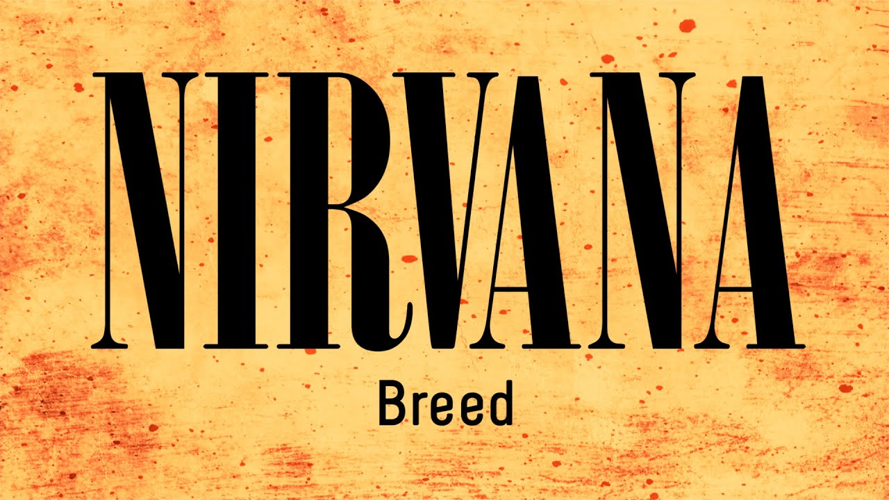 Nirvana - Breed (трек для гитары)