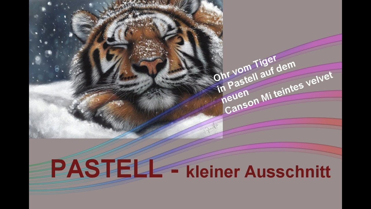 PASTELL - Ohr vom Tiger- kleiner Ausschnitt