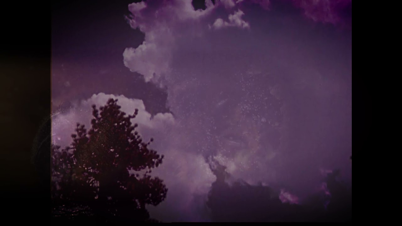 Nicola Mazzocca - Mellifera