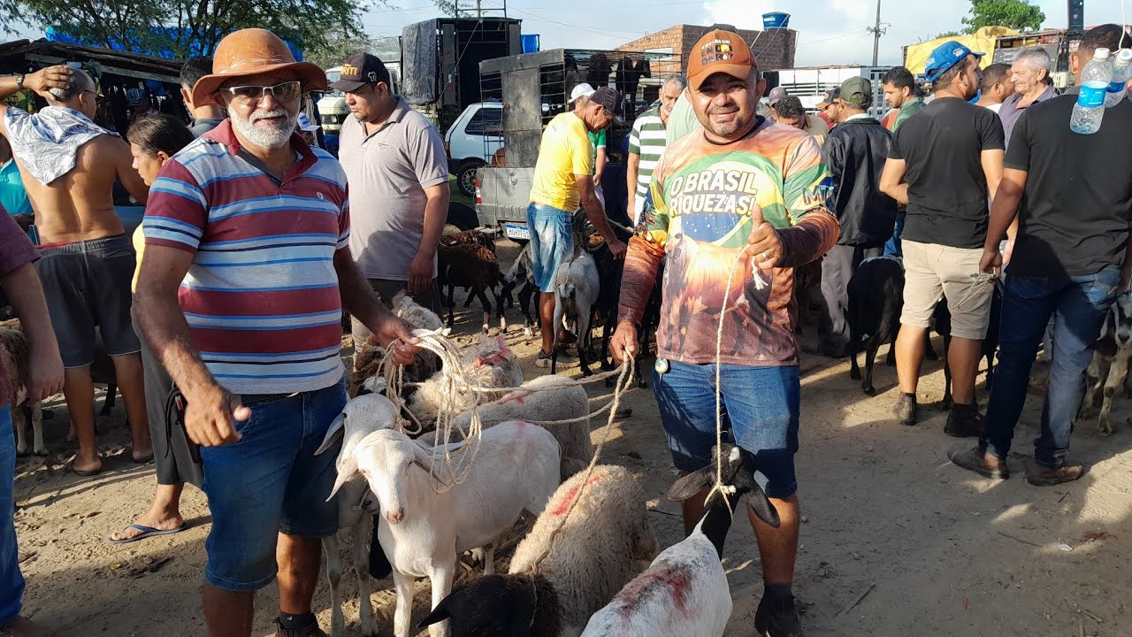 Feira de Animais em Campina Grande Paraíba realizada todas as quartas 25/02/2026.