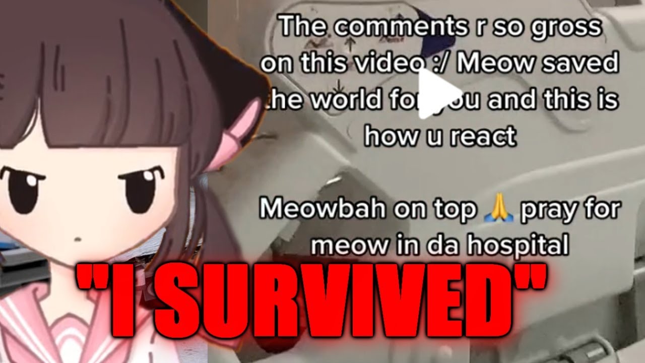 Meowbahh Survived Falling off a Building (Hospitalized)