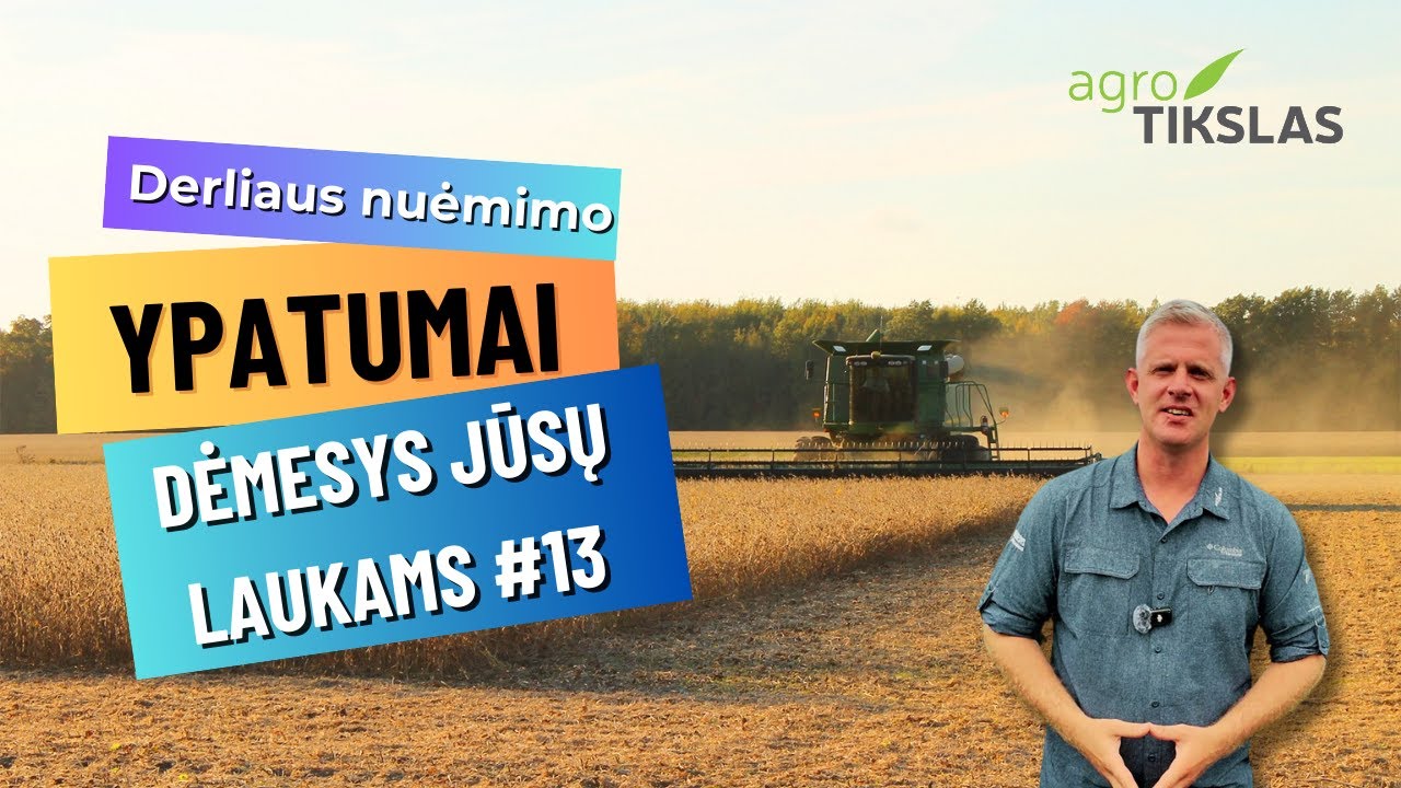 Dėmesys Jūsų laukams #13 apie startavusią javapjūtę