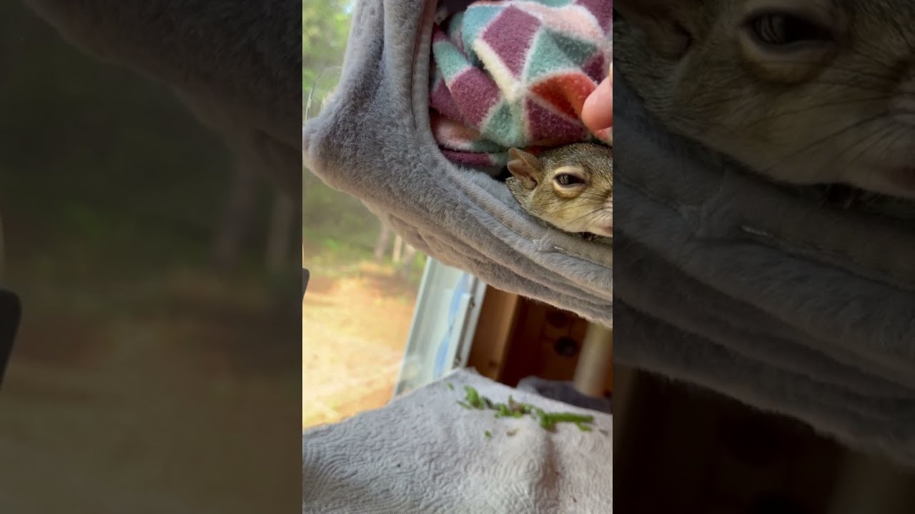 She didn’t want to be disturbed