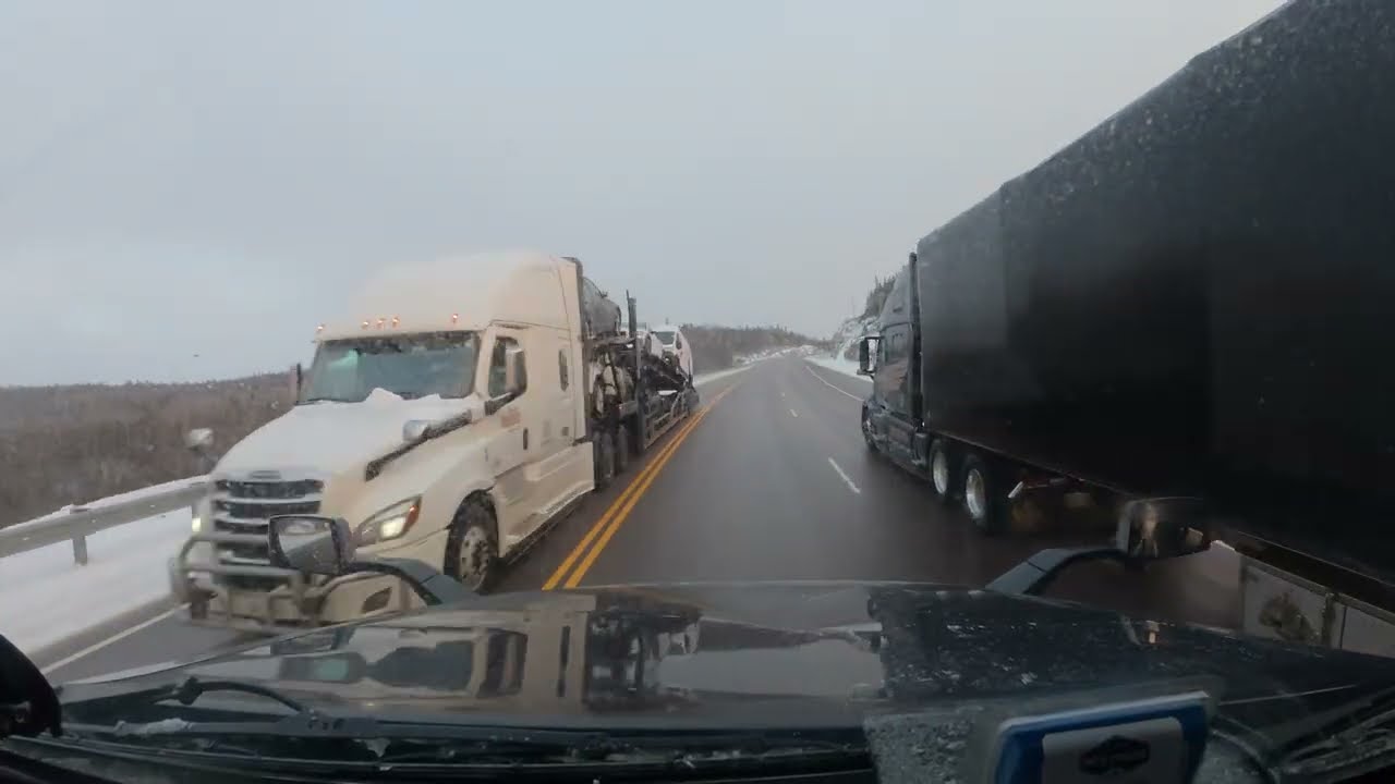 Hull a pelyhes...
