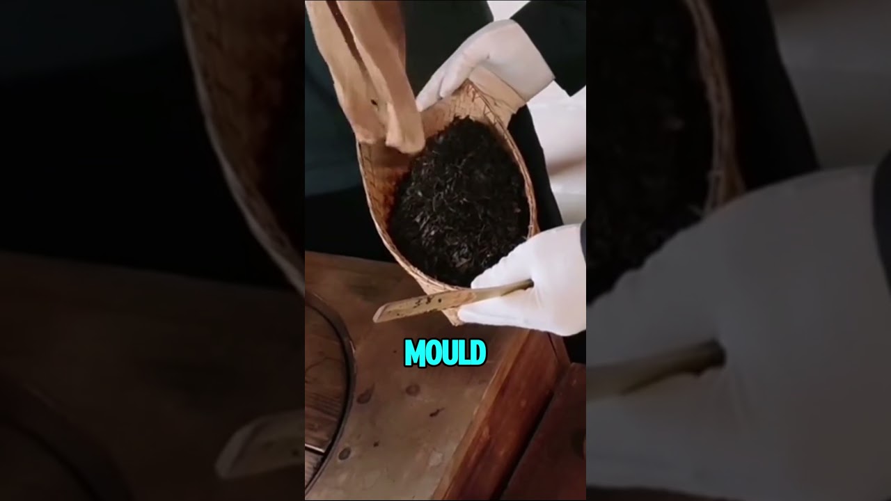 How Expensive Tea Bricks Are Made?