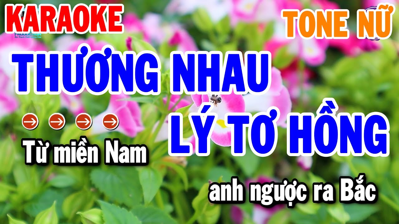 Thương Nhau Lý Tơ Hồng Tone Nữ ( Bm ) Nhạc Sống Cha Cha Mới | Thanh Hải Organ