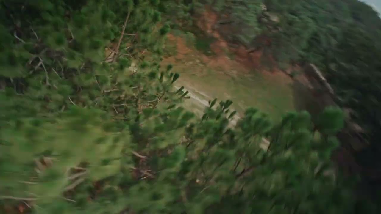 Vulture FPV 6 inch Quad + Sony A6300 laowa 10mm F4