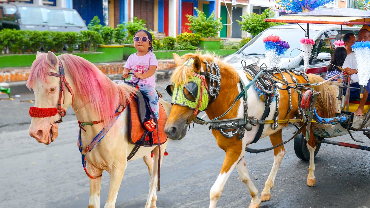 NAIK DELMAN ISTIMEWA 🐎 LAGU ANAK ANAK - KUDA DELMAN