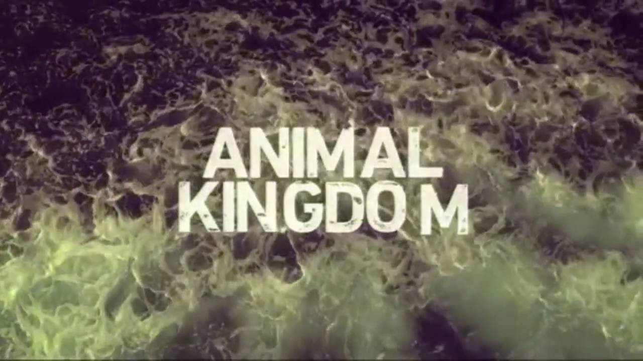 Animal Kingdom ~ Gasoline