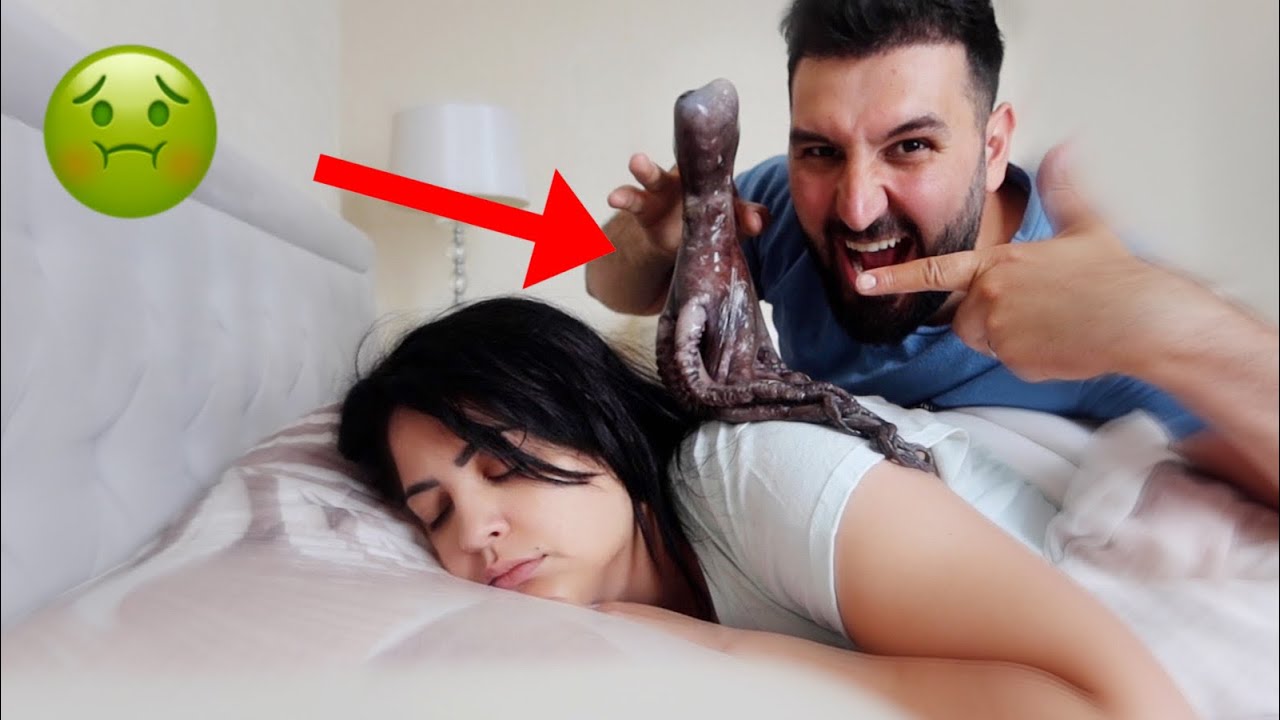 حطيت اخطبوط حقيقي على راس زوجتي هي ونايمة | انجنت