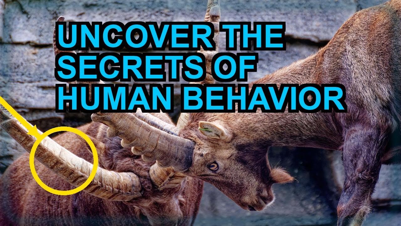 The Psychology of Human Behavior: A Deep Dive